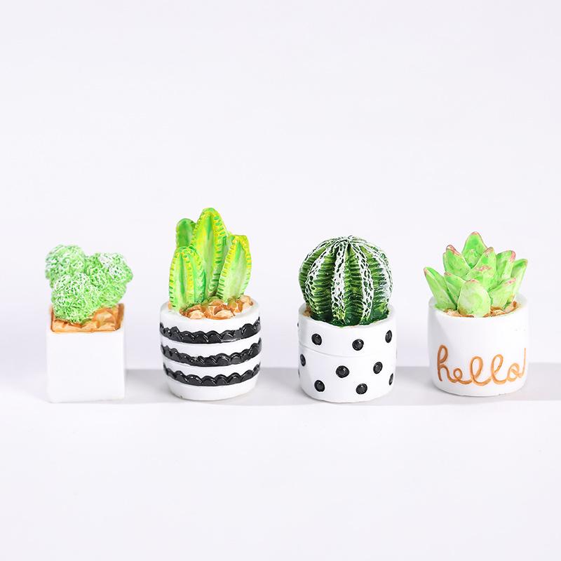 4-Piece Set of Cactus Succulen - Echeveria Succulent recension och pris
