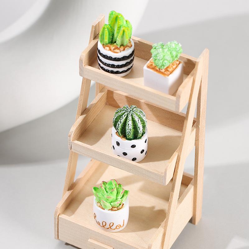 4-Piece Set of Cactus Succulen - Echeveria Succulent recension och pris