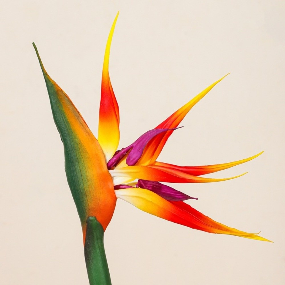 Long Stem Artificial Bird of P - Bird Paradise Strelitzia recension och pris