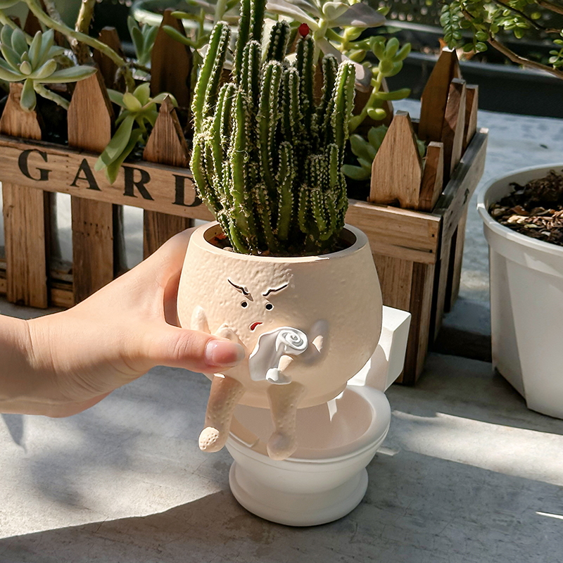 Funny Ghost Toilet Resin Succu - Echeveria Succulent recension och pris