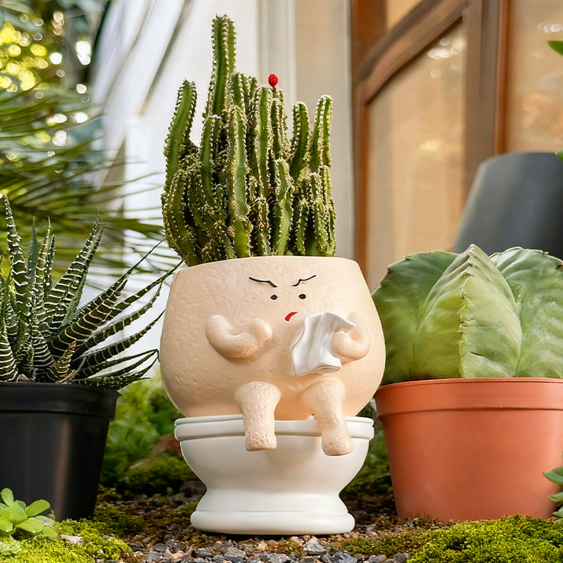 Funny Ghost Toilet Resin Succu - Echeveria Succulent recension och pris