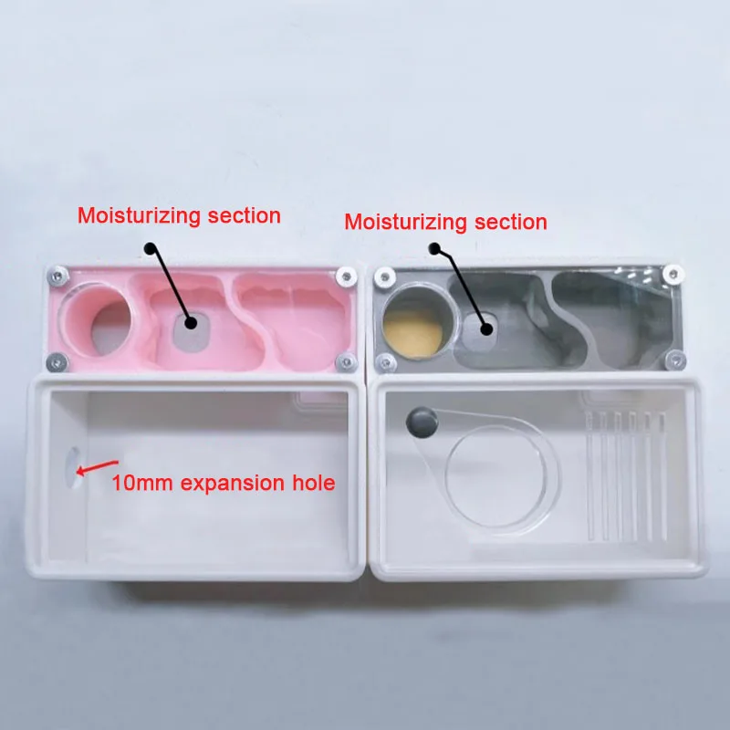 3D Printed Ant Farm queen ant' - Begonia Rex recension och pris