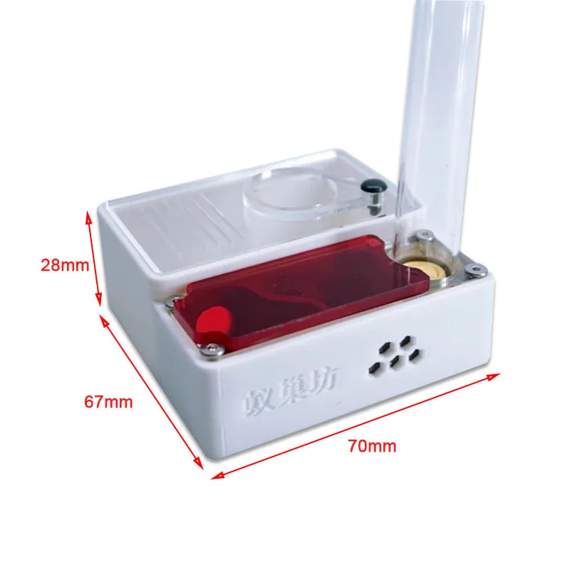 3D Printed Ant Farm queen ant' - Begonia Rex recension och pris