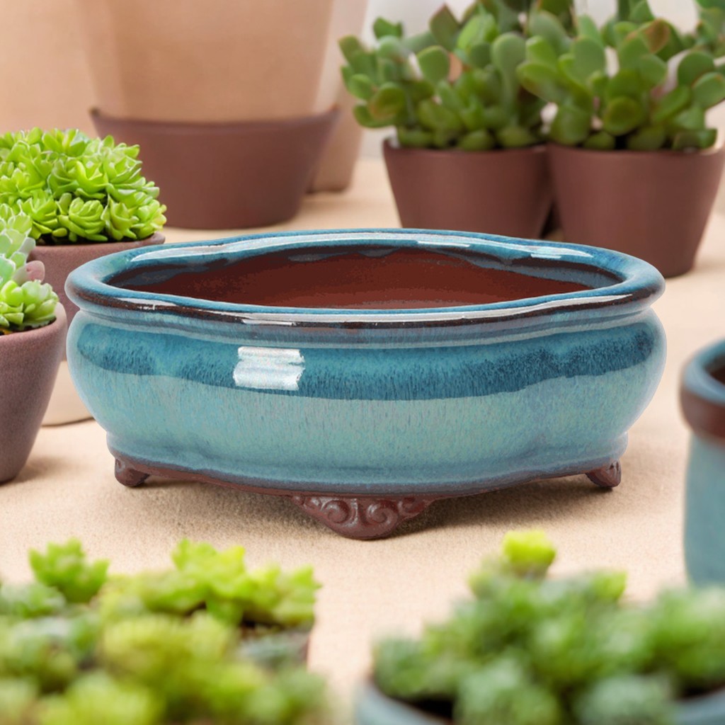Ceramic Succulent Flower Pot C - Pilea Peperomioides recension och pris